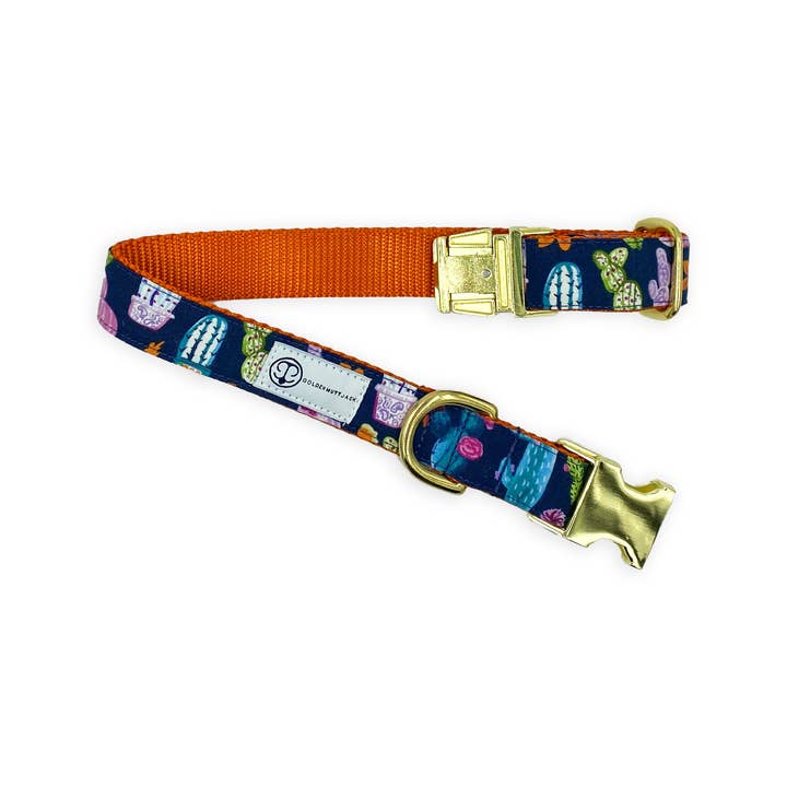 Cacti for wholesale by Golden Mutt Jack