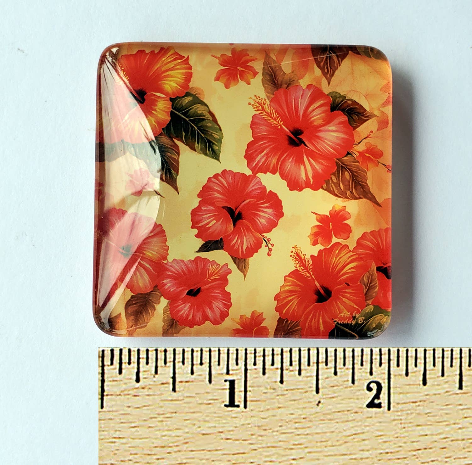 Art by Freddy B. - Wholesale Magnet - Set of 6 Acrylic Glass Magnets, The Floral Collection7