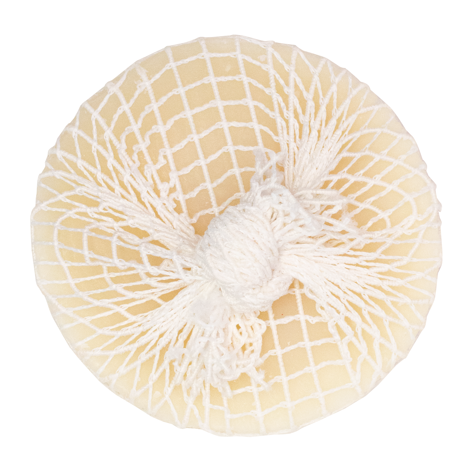 Downunder Wash Co - Wholesale Stain remover - Tuffy Stain Remover with Net - Australian Bush Mint1