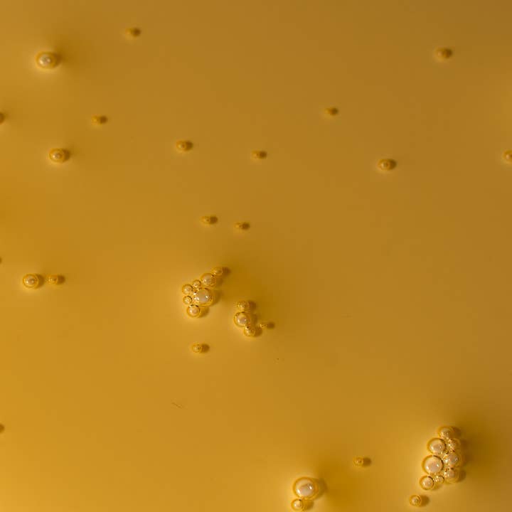 otriea - Wholesale Facial serum/concentrate - Aurora - Day Facial Oil 2