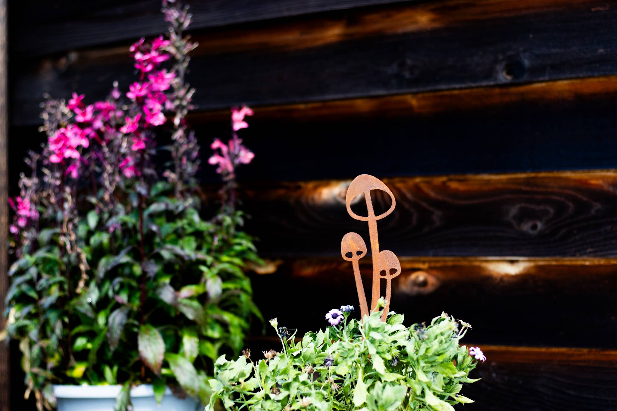 Elegant Garden Design - Vente Piquets de jardin/pelouse - Piques à champignons - Lot de cinq17