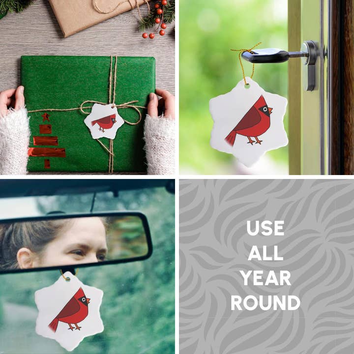 3dRose - Wholesale Ornament - 3dRose, Funny Cool Cardinal Red Bird cartoon, Ornament4