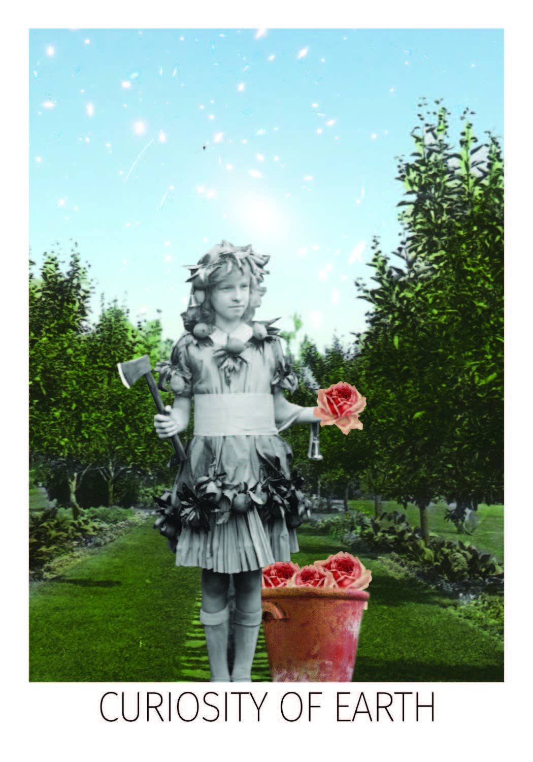 Red Wheel/Weiser LLC - Wholesale Tarot Cards - The Rosebud Tarot: 78 Cards & 96 Pg Full-Color Guidebook3