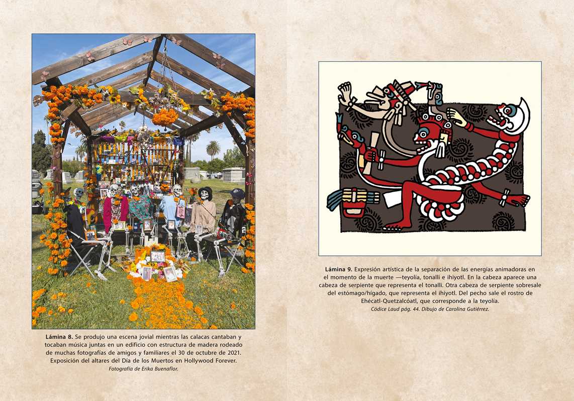 Simon & Schuster - Wholesale Body, Mind & Spirit - Ritos de veneración del curanderismo by Erika Buenaflor4