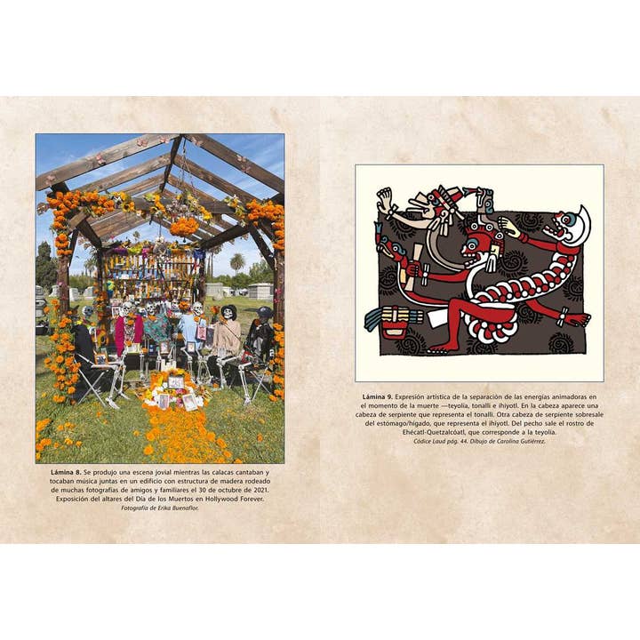 Simon & Schuster - Wholesale Body, Mind & Spirit - Ritos de veneración del curanderismo by Erika Buenaflor4