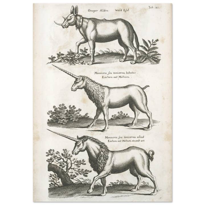 Unicornio para venta al por mayor de Maison de Paloma