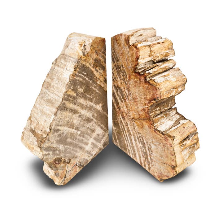 Versteinerte Holz-Buchstützen, Rustikale Buchstützen, Versteinertes Holz-Buchstützen, für den Großhandel von baligood