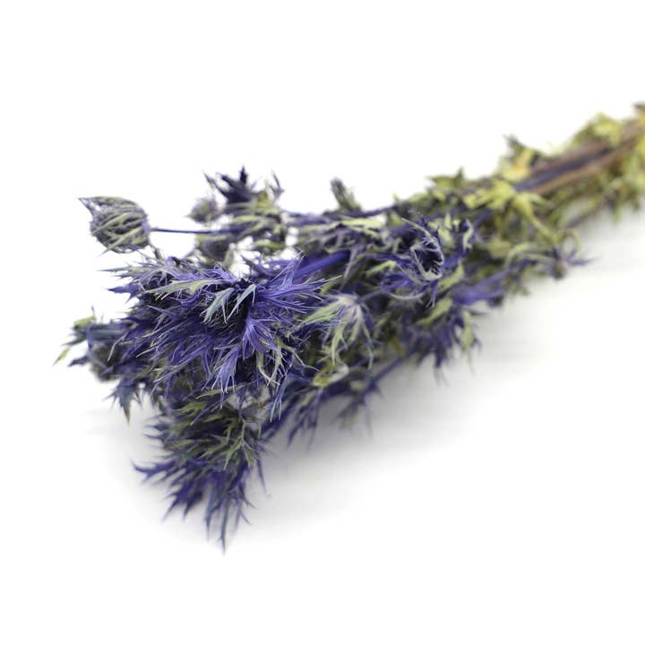 Kunstharz.Art - Wholesale Dried/Pressed Flowers - Eryngium “Blue Star” Thistle Dried Flower Bouquet Decoration