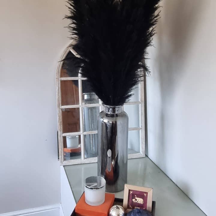 LoveProducts Ltd – wholesale Dried/pressed flowers – Pampas Grass Large black Fluffy Dried pampas arrangement4