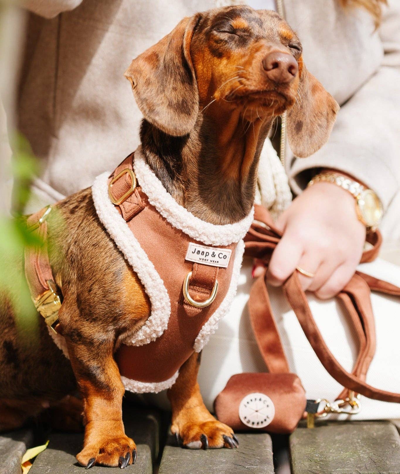 Jaap & Co - Woof Wear - Wholesale Pet Harness - Dog - Soft Season - Dog Harness1