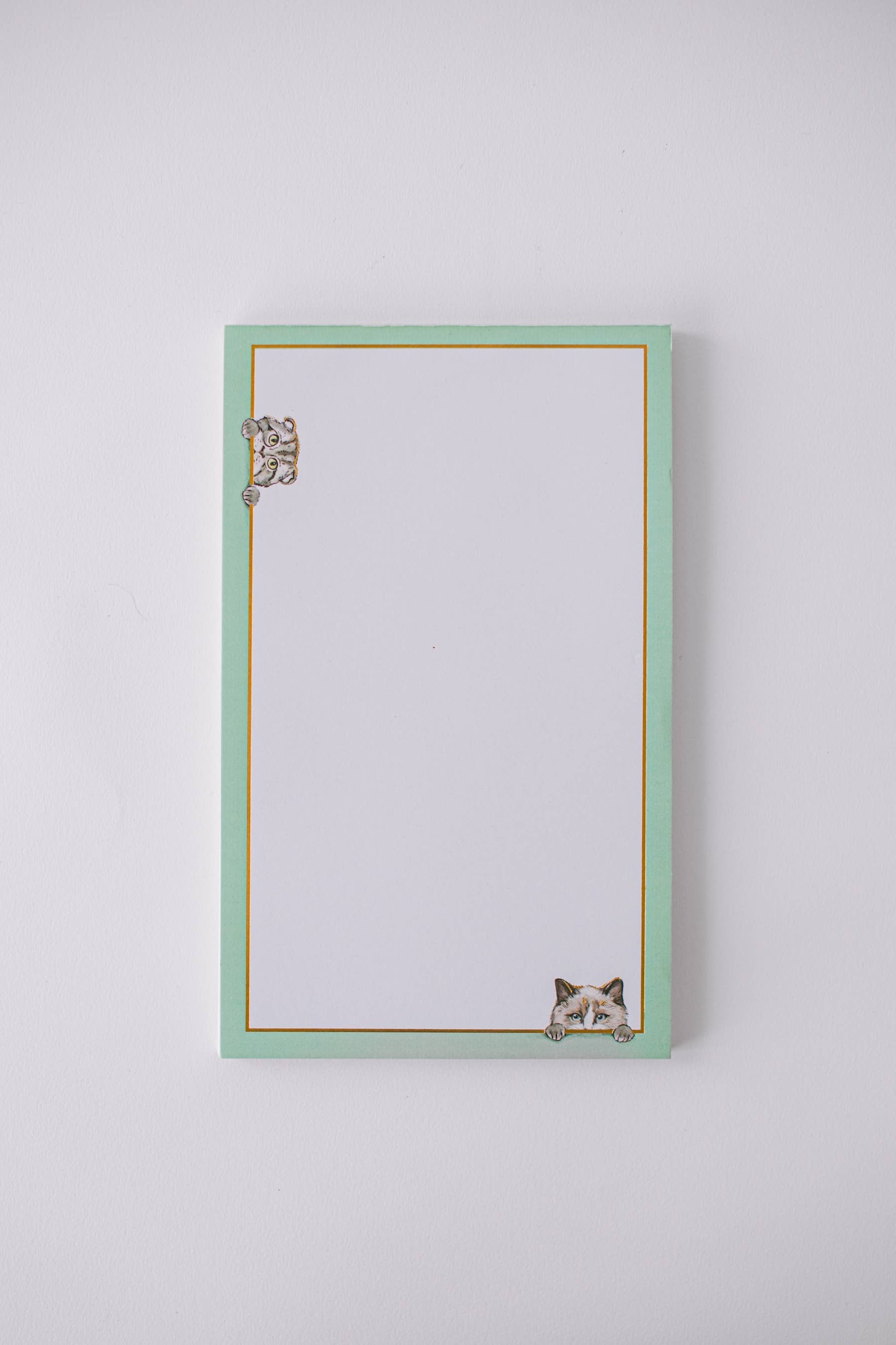 Good Juju Ink – wholesale Notepad – Sneaky Cats on the Border Large Notepad1