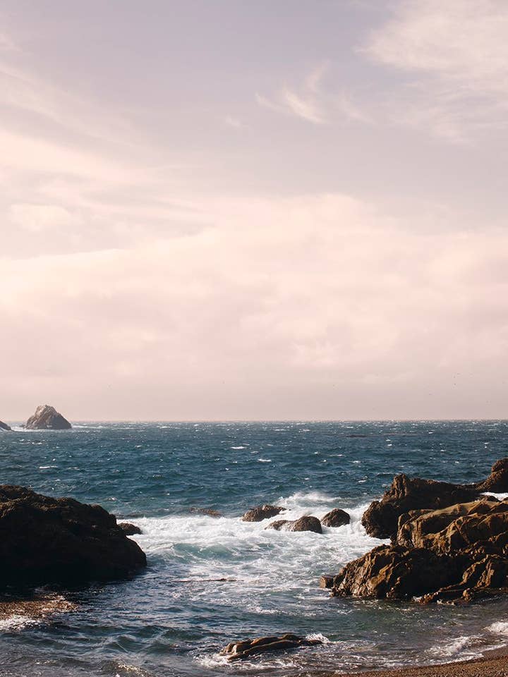 Coastal No. 9 for wholesale by Wilder California