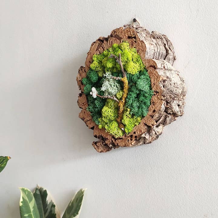 Fios Jardins Suspensos - Wholesale Live Plant - Living frame in cork frame with preserved moss1