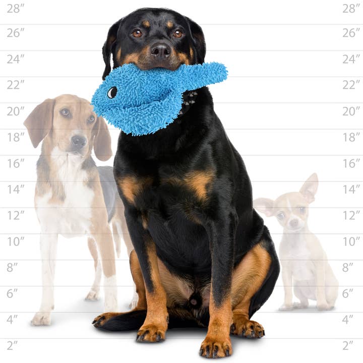Tuffy Dog Toys - VIP Products - Wholesale Pet Squeaky Toy - Dog - Mighty Microfiber Ball Med Stingray Blue, Squeaky Dog Toy