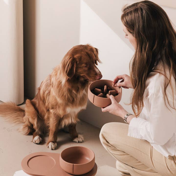 PINO - Wholesale Pet Bowl - Dog - Slow Feeder Bowl1