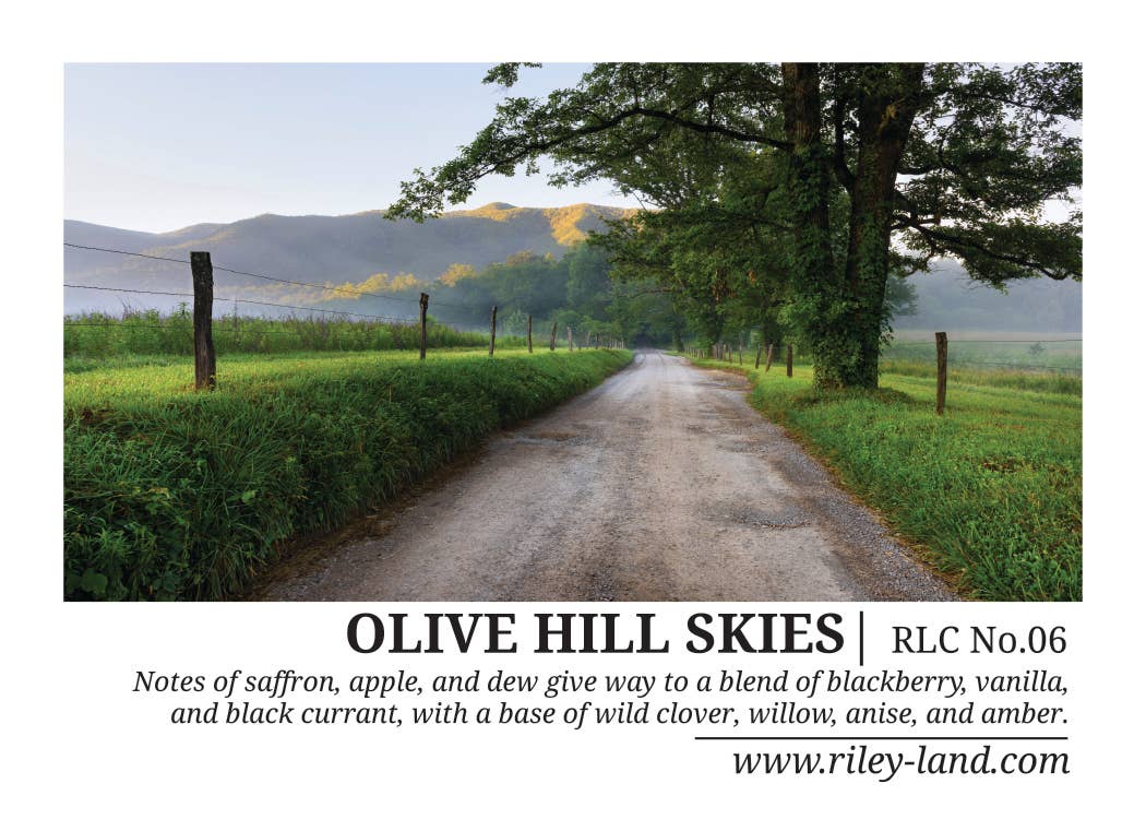 THE RILEY/LAND COLLECTION – wholesale Jar/filled candle – OLIVE HILL SKIES CANDLE2