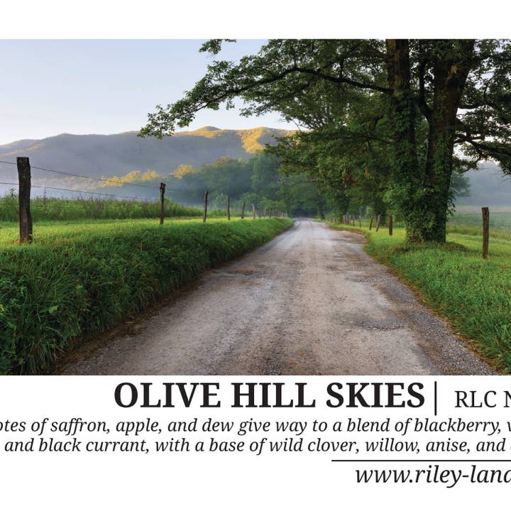 THE RILEY/LAND COLLECTION – wholesale Jar/filled candle – OLIVE HILL SKIES CANDLE2
