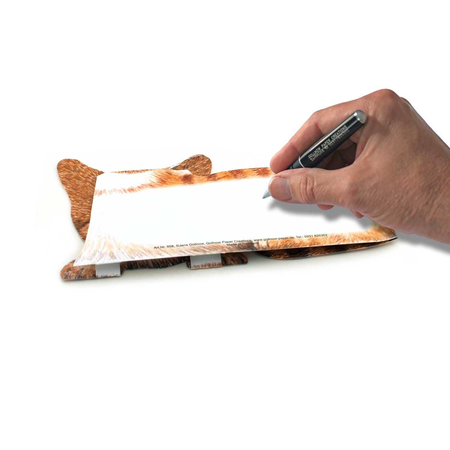 Gollnow Paper Creations - Wholesale Everyday Greeting Card - 3D animal card little cat2