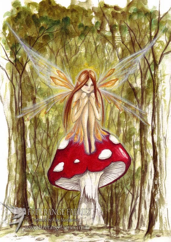 FreeRangeFaeries - Wholesale Everyday Greeting Card - Woodland Wish Greetings Card1