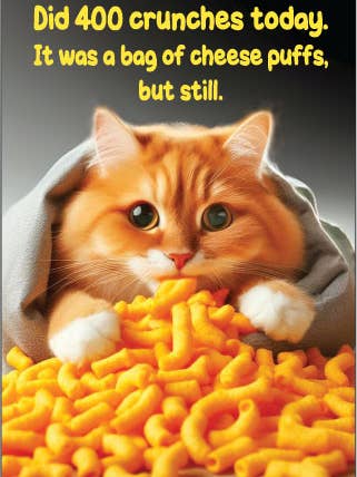 MAGNET: Vandaag 400 crunches gedaan. Het was een zak kaaschips. voor wholesale door Ephemera