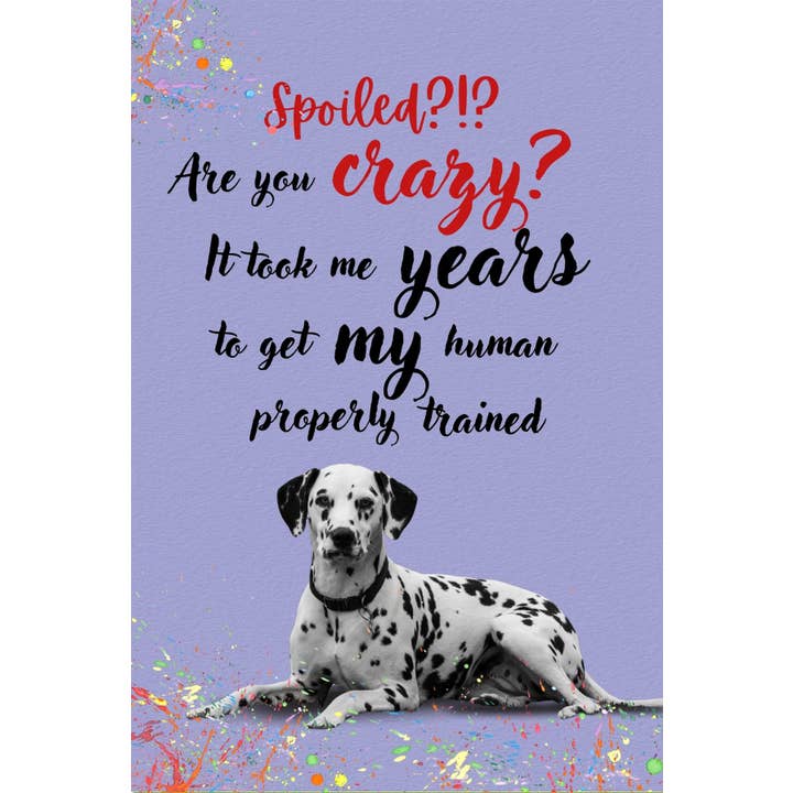 purrPETuallove – wholesale Everyday greeting card – Spoiled/Crazy - Dalmation