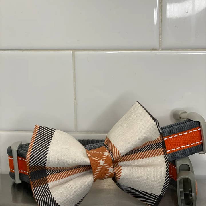 Swanky Pawz - Vendita all'ingrosso Papillon - Cani - Papillon a collare per cani, papillon slip on, papillon scozzese1