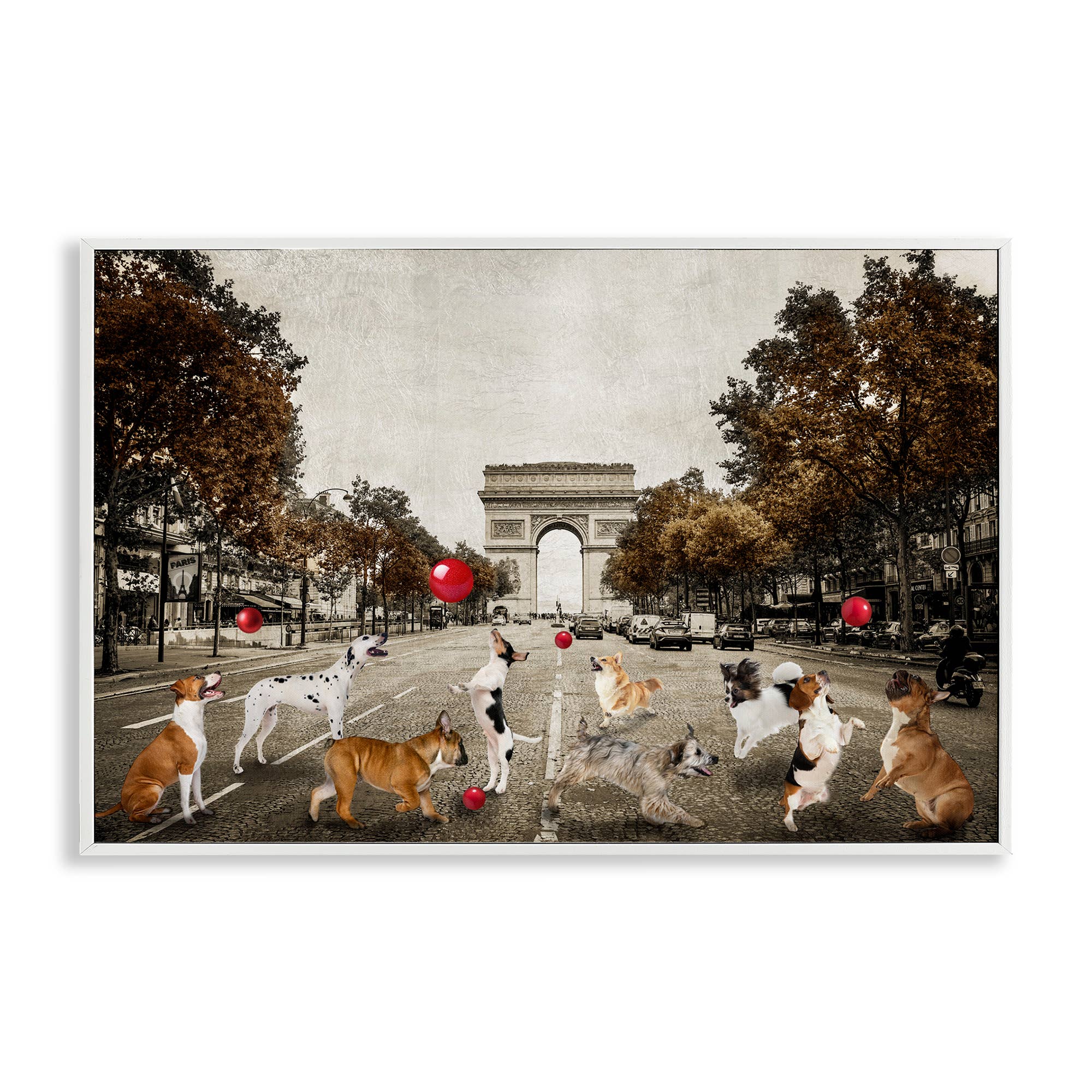 Stupell Industries - Wholesale Wall Sign - Dogs Playing Among Architecture - Framed Wall Art21