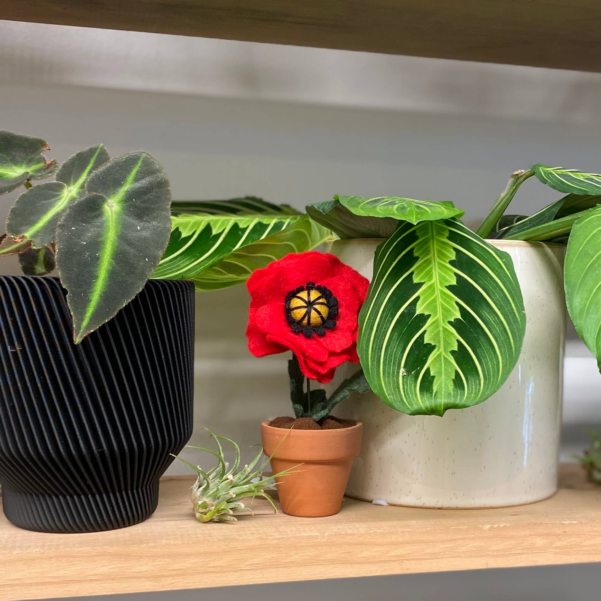 ForgetBKnot - Wholesale Artificial Flowers - Poppy Felt Forever Flower (August Birth Month Flower)6