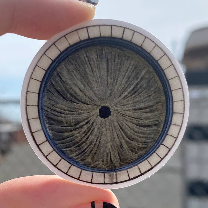 Butthole Window for wholesale by Squirrel Hill Design and Craft