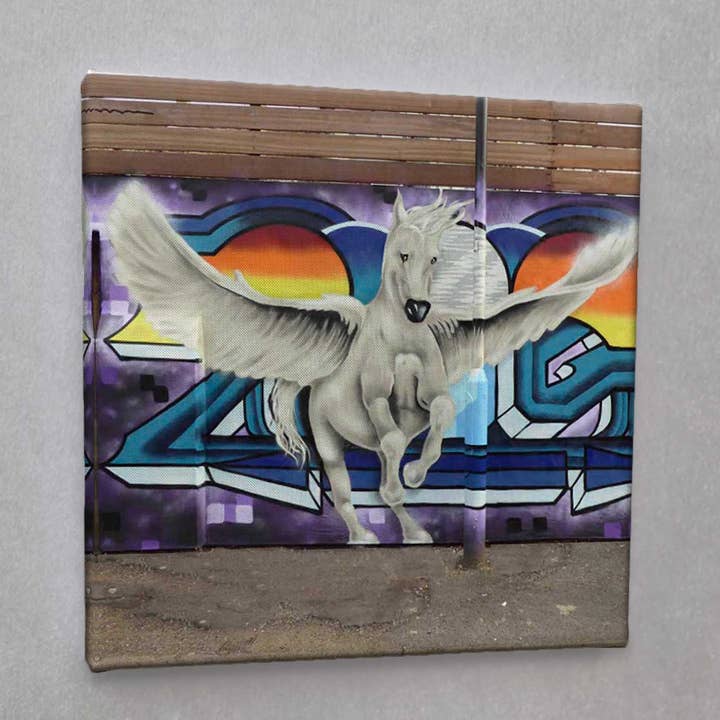 #01540 fly Street Art lærred Udskriv for engroshandel hos Eicie