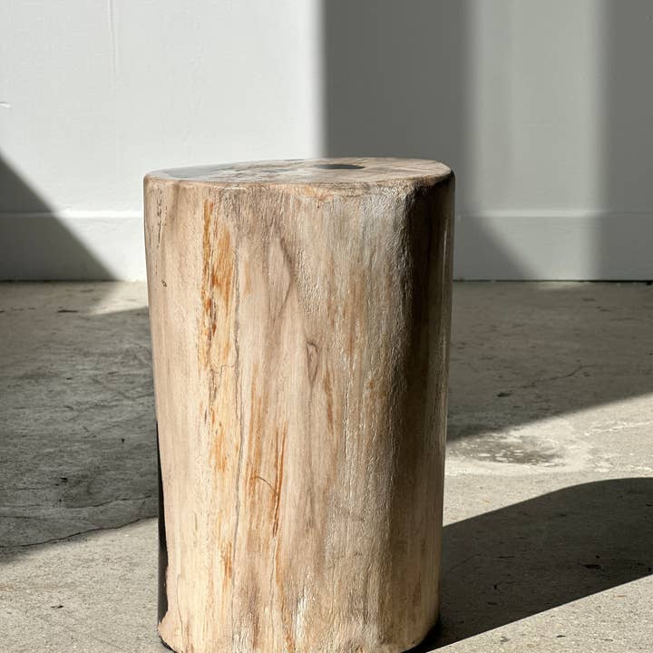 Office Objets - Wholesale Side Table - White petrified wood side table with black spots H:27.5 D:1832