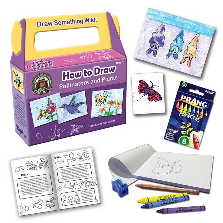 Jr. RangerLand – Großhandel Kunstset – Kind & Baby – Wie zeichnet man Bestäuber und Pflanzen Art Kit