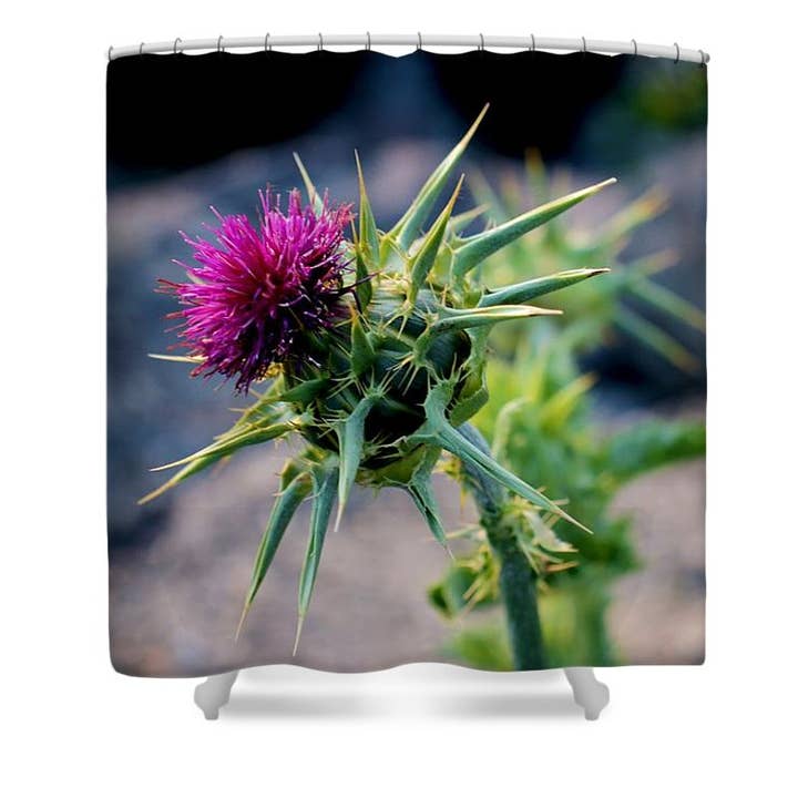 CORTINA DE BAÑO «LA FLOR ANGULAR» para venta al por mayor de sorayadapuzzostore