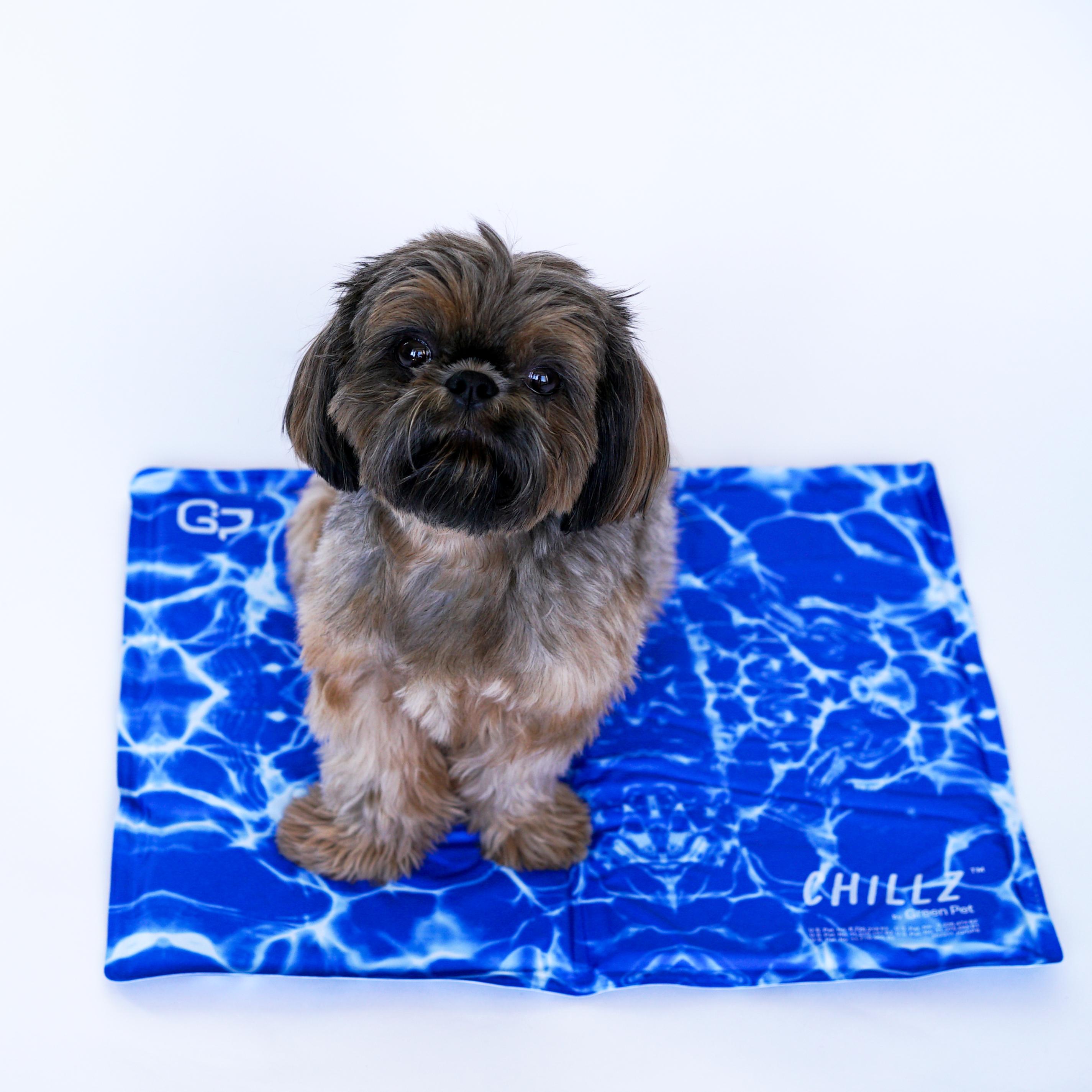 The Green Pet Shop - Vendita all'ingrosso Tappetino - Cani - Tappetino refrigerante Chillz in gel per animali7
