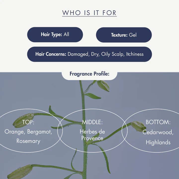 Coastside Skin - Wholesale Hair shampoo - Treecell Night Collagen Shampoo Midnight Forest 360ml3