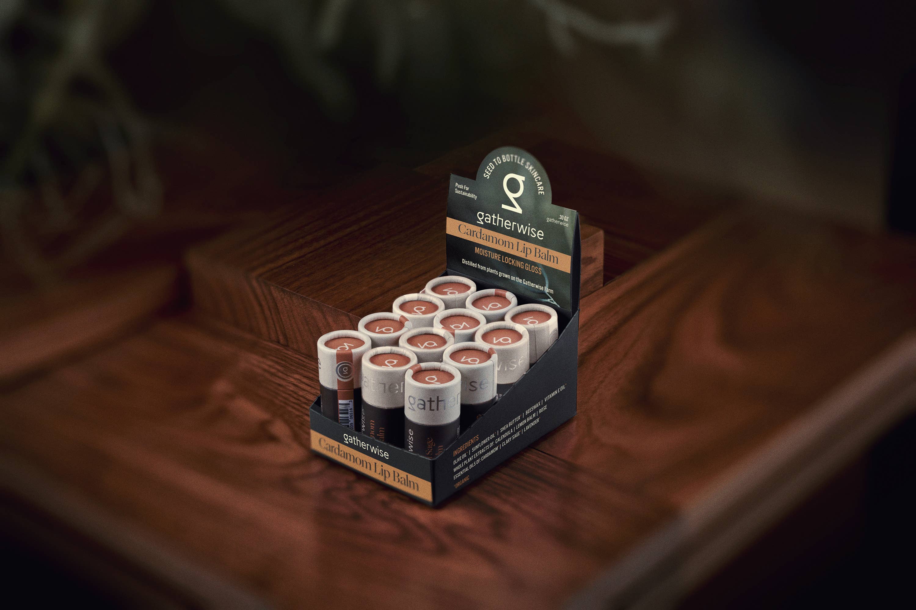 Gatherwise - Wholesale Lip Balm - Sun and Sage Lip Balm - Case of 132