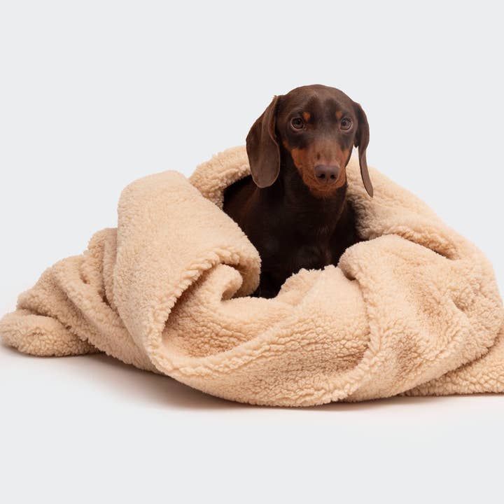 Trimmi – Engroshandel Seng - Hund – Teddy kram sovepose beige2