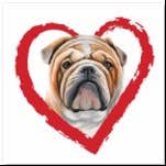 Sticker en vinyle 4 po Bulldog pour la vente par Wunuvakind