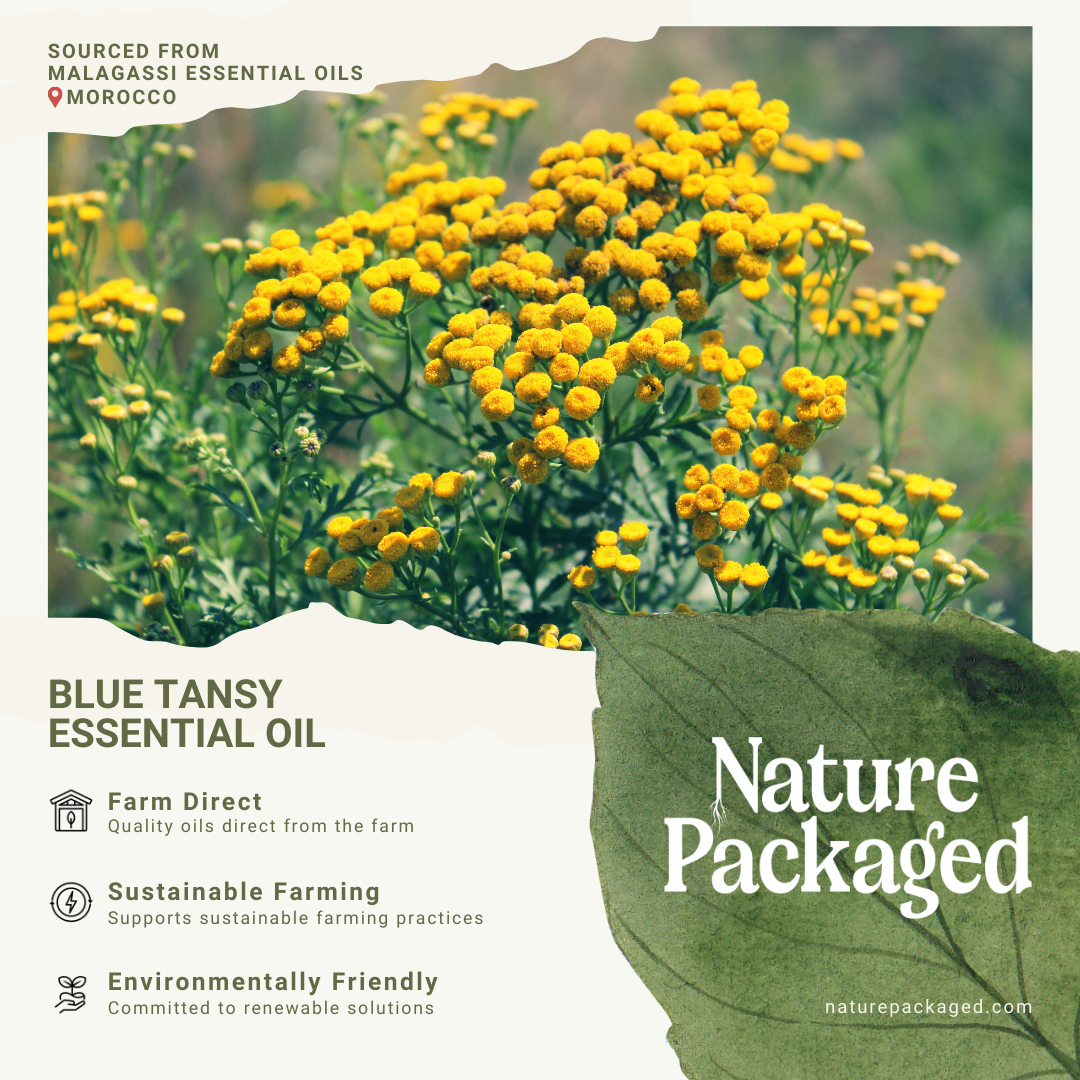 Nature Packaged – wholesale Essential oil – Organic Blue Tansy EO - 100% Pure- Farm-Direct Sourcing6