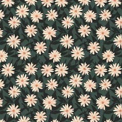 Fiori pressati - nero (RTS)
cerchietti per la vendita all'ingrosso da parte di Cookie & the Dude