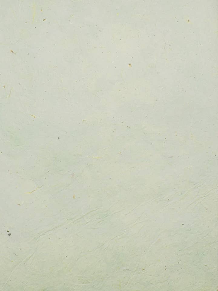 Lokta teinté céladon pour la vente par Aitoh Company