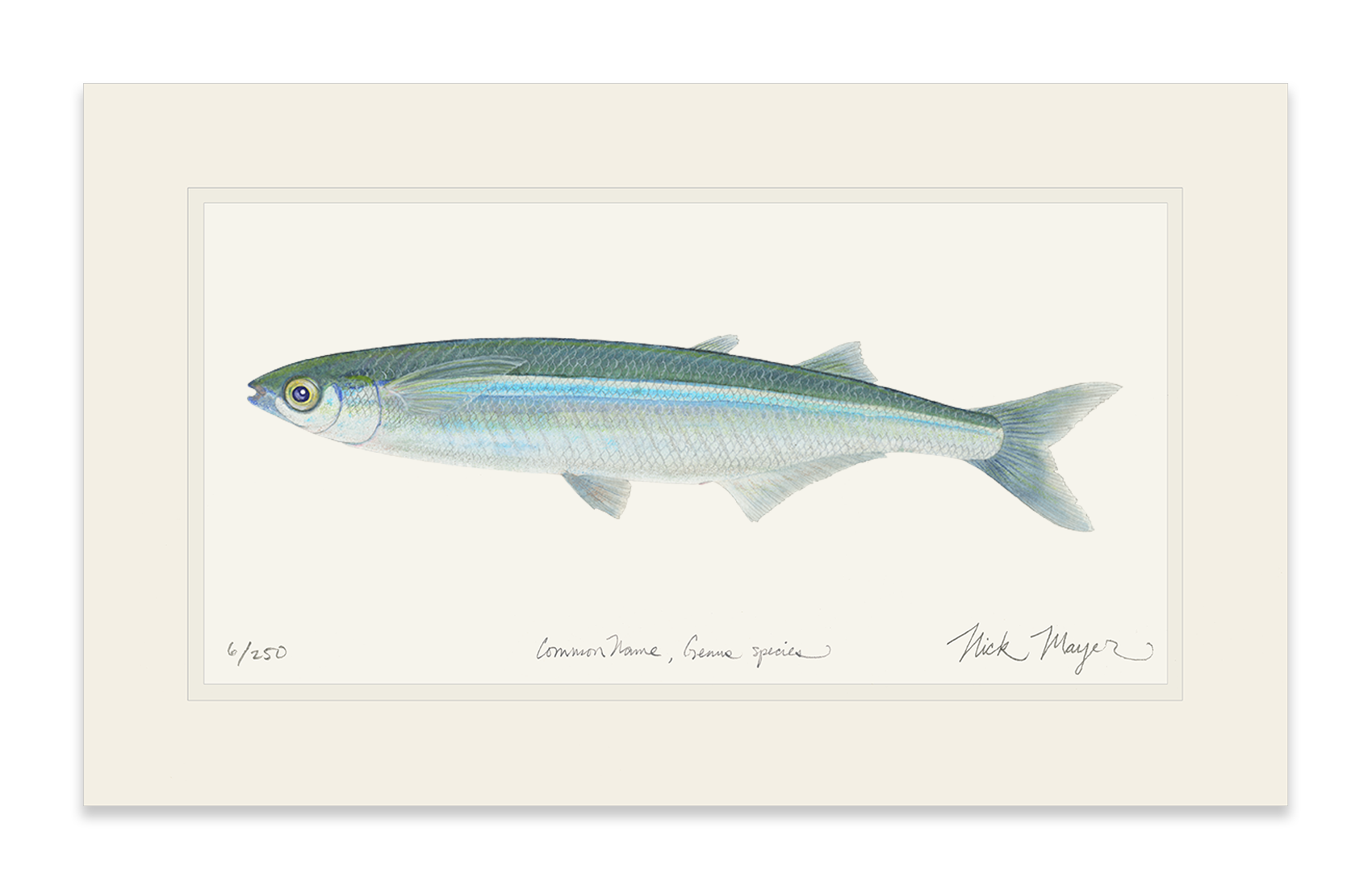Nick Mayer Art - Wholesale Art Print - Smelt Limited Edition Print7