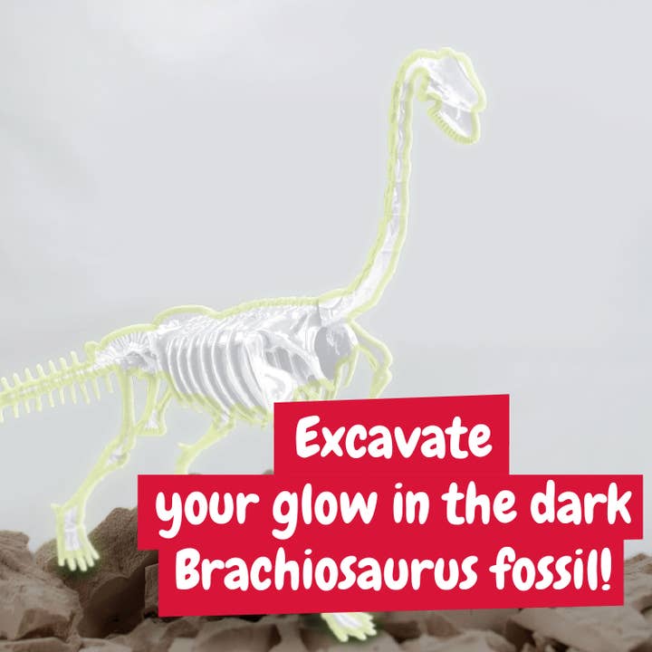 Science4you - Wholesale Toy Set - Kids - Fossil Excavations for Kids - Glow-in-the-Dark Brachiosaurus1