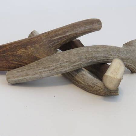 8" Medium Antler for wholesale by Pack approved dog treats