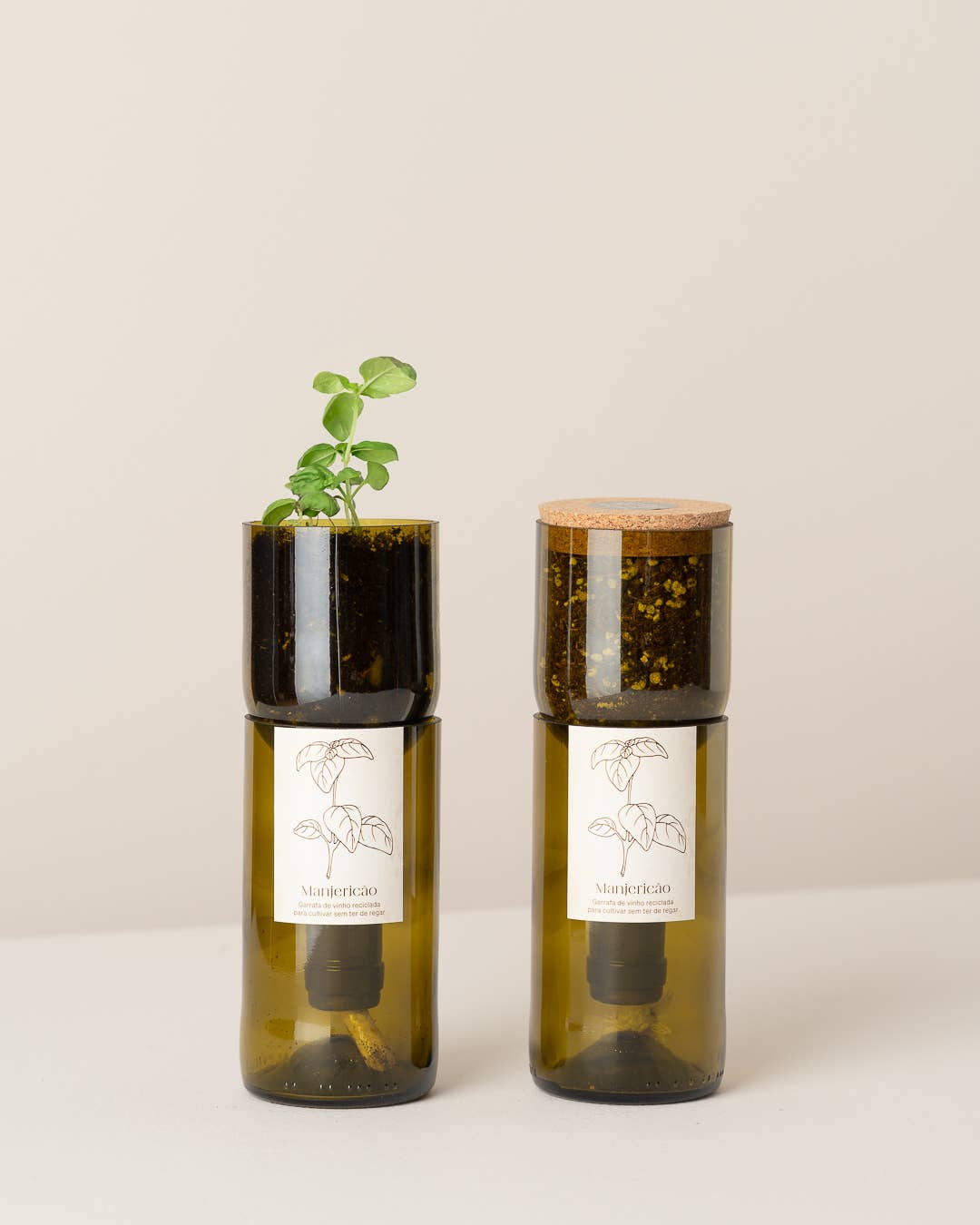 Life in a bag - Wholesale Plant Seeds - Grow Bottle Basil