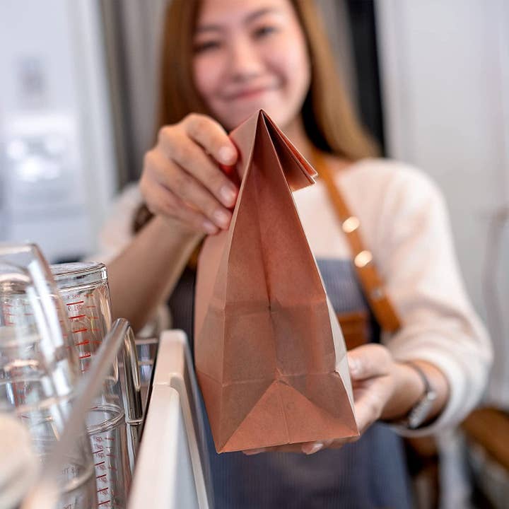 Brown MT Products Paper Bags 10 lbs - Grocery Bags for wholesale on Faire2