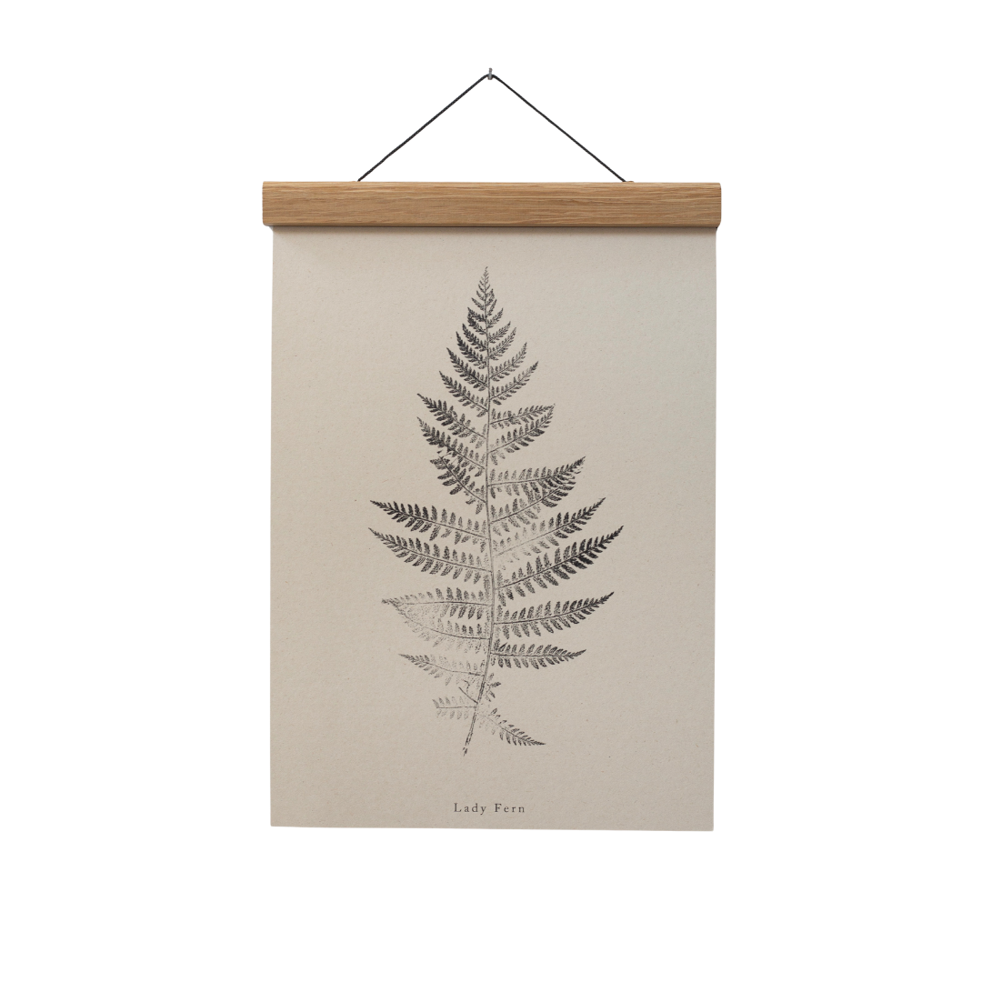 Alicia Breakspear - Wholesale Art Print - Fern Print - Botanical Art Print A5 A4 A3 Lady Fern 2