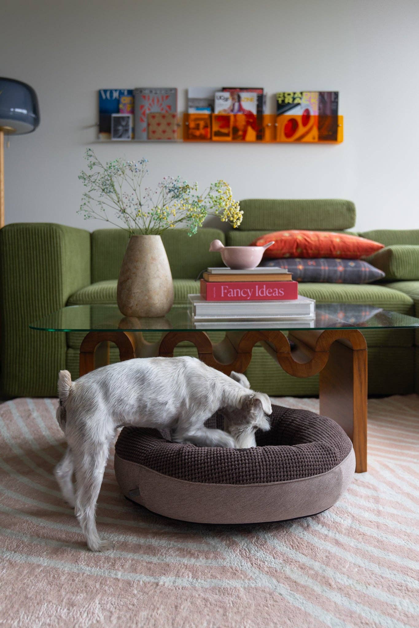 Bruin Kastanjebruine Donut Hondenmand voor groothandel op Faire4