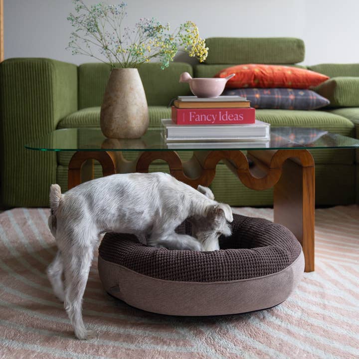 Bruin Kastanjebruine Donut Hondenmand voor groothandel op Faire4