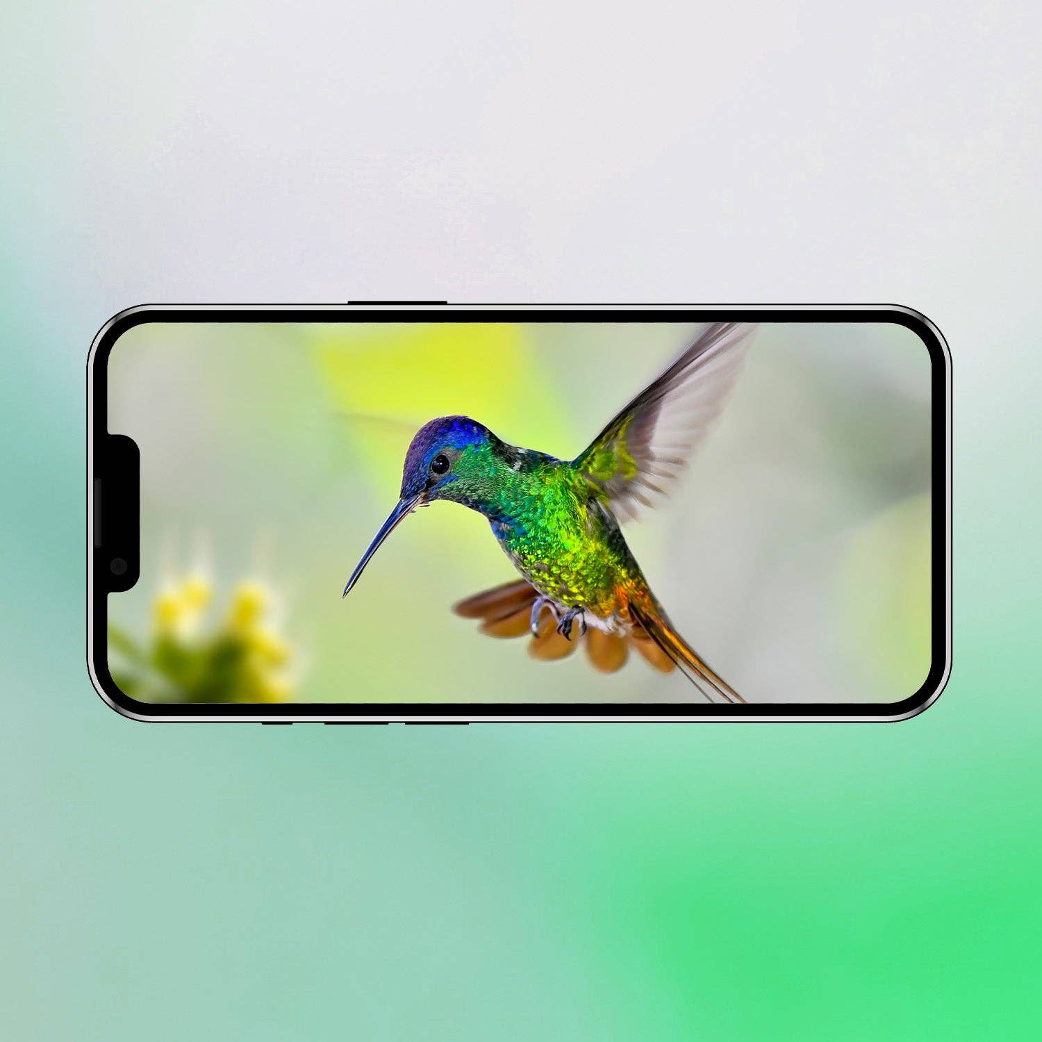 MobileVision - Wholesale Bird Feeder - Smart Hummingbird Feeder9